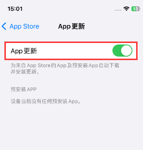 振安苹果15维修中心如何让iPhone15APP自动更新